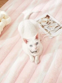 1 Miếng Lông thỏ Trang trí Tấm thảm , Mềm mại Và Thoải mái Phong cách Đơn giản Thảm trải sàn Đối với Phòng ngủ/Sinh hoạt Phòng , Mùa Thu /đông - Hồng - Xem 3