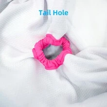 2 包狗尿布，母狗专用高吸水性狗尿布，可洗狗尿布，适合发情、失禁或兴奋排尿的狗 - 彩色 - 查看 8