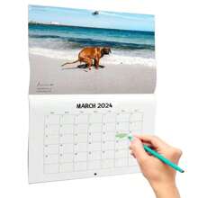 Dog Poop Calendar 2024, Funny Dog Calendar, Dogs Pooping In Beautiful Places, Humorous Wall Calendar - Baby Blue - View 1