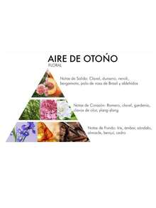 Perfume para Mujer Aires de Otoño By Chantal 100ml / Fragancia de Dama - Lavanda - Ver 3