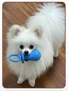 1 Pieza Suministro Para Mascotas Perro Tpr Masticable En Color Caramelo Con Sabor Para Afilamiento De Dientes, Solo Para Uso En Mascotas - Rosa - Ver 10