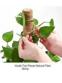 件盆栽植物桿，椰殼苔桿，椰殼棒綠色植物攀爬架，竹盆裝飾椰殼棒，植物堆植物支架，用於攀爬室內植物花卉裝飾