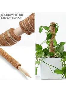 件盆栽植物桿，椰殼苔桿，椰殼棒綠色植物攀爬架，竹盆裝飾椰殼棒，植物堆植物支架，用於攀爬室內植物花卉裝飾