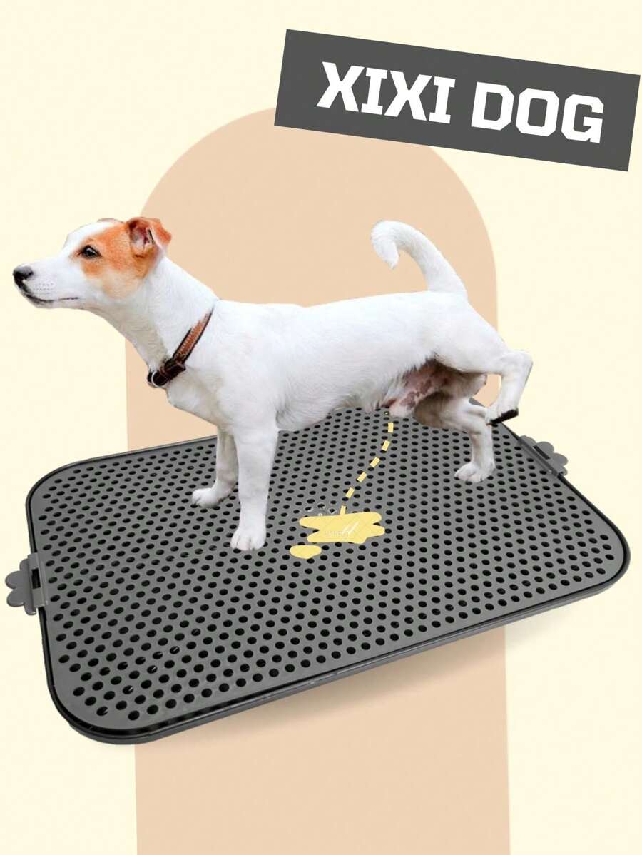 Tapete Higiênico Para Cachorro Pequeno Médio Grande Porte Lavável Sanitário Canino - Cinza - Visão 1