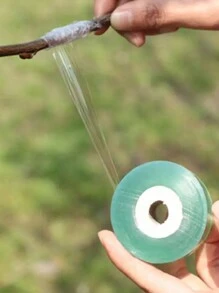 1 Peça Fita De Enxertia De Árvore Frutífera, Filme Floral Flexível, Cinto De Enxertia De Reparo De Planta Para Corrigir Jardim - Ferramentas E Acessórios Manuais