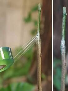 1 Peça Fita De Enxertia De Árvore Frutífera, Filme Floral Flexível, Cinto De Enxertia De Reparo De Planta Para Corrigir Jardim - Ferramentas E Acessórios Manuais