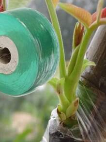 1 Peça Fita De Enxertia De Árvore Frutífera, Filme Floral Flexível, Cinto De Enxertia De Reparo De Planta Para Corrigir Jardim - Ferramentas E Acessórios Manuais