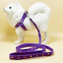 Cuerda De Tracción Trasera Para El Pecho De Perro, Para Perros Y Gatos Pequeños Y Medianos, 1 Ud. - Morado - Ver 1