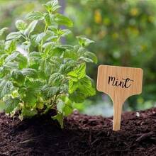 5pcs Wooden Plant & Flower Identification Tag, Garden Handwritten Label - Beige - View 5