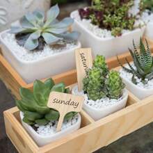 5pcs Wooden Plant & Flower Identification Tag, Garden Handwritten Label - Beige - View 3