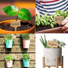 5pcs Wooden Plant & Flower Identification Tag, Garden Handwritten Label - Beige - View 8