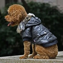 1pc Autumn Winter Thickened Pet Coat With Leopard Print Hat For Warmth - Black - View 3