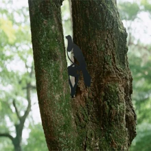 1入組黑色金屬戶外花園裝飾插入式小鳥形狀裝飾品,適用於圍欄、庭院、農舍
