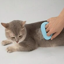 1pc Blue Shell-shaped Pet Hair Remover & Massager, Suitable For Cats. Helps Remove Fleas And Tangles. - Blue - View 2