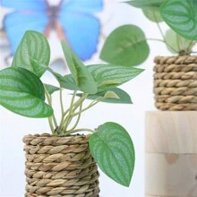 1盆高保真人造綠植,室內迷你盆栽,客廳裝飾,裝飾品,盆景 - 綠色 - 查看 8