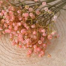 5pcs Spray Colored Gypsophila - Pink - View 5