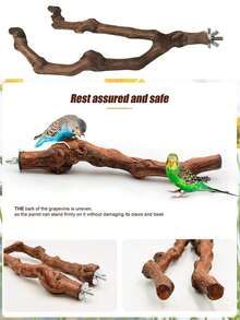 1pc Grape Wood Double Branch Parrot Perch Suitable For All Seasons For Bird Cage Accessory - Brown - View 4