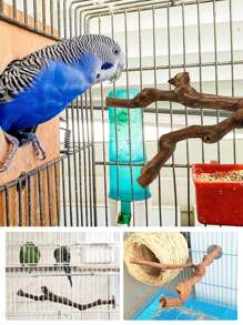 1pc Grape Wood Double Branch Parrot Perch Suitable For All Seasons For Bird Cage Accessory - Brown - View 3