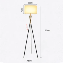 Floor Lamp With Tripod, Modern Design, With 12w Trichromatic Light - Black - View 7