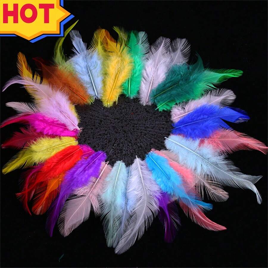 (200入組)銳利/多彩的公雞羽毛,適用於捕夢網diy,手工藝品,衣物配件/有現貨