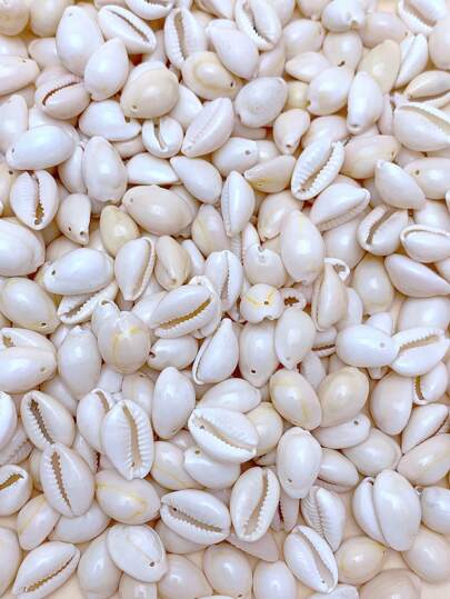 10/30/60 piezas de colgante de caracol real de moda para hacer pulseras, collares, accesorios para hacer joyas con estilo de playa para vacaciones