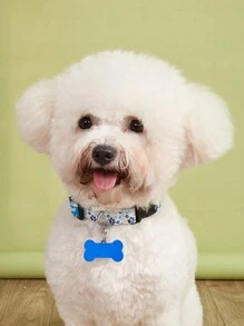 2 cái/gói Màu sắc tùy ý Khúc xương Hình dạng Thú cưng Vật rủ xuống Id Nhãn - Nhiều màu - Xem 2