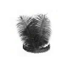 3入組女性單身派對羽毛髮飾,化妝舞會、晚宴表演髮飾,母親和教師禮物