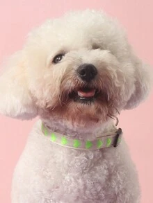 1 Vòng Cổ Thú Cưng Mềm Mại Họa Tiết Trái Tim Thích Hợp Cho Chó Mèo Nhỏ (Không Thích Hợp Cho Chó Lớn) - màu xanh lá - Xem 2