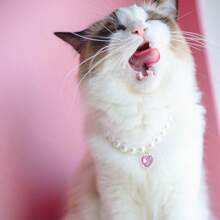 1pc Cat Beaded Necklace, Cute Highly Attractive Rhinestone-Studded Dog & Cat Collar, Decorative Item For Photo-Shooting, Necklace Resistant To Cat Bites And Licks - Baby Pink - View 3