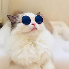 Gafas de Sol para Gatos y Perros. Lentes Clasicas Vintage Redondas para Mascotas. Colores al azar. - Multicolor - Ver 2