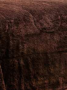 Home Elephant Cobertor Con Borrega Matrimonial Café Doble Vista Chocolate - Café integral - Ver 3