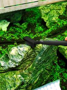 3 件套魚缸清潔刷套裝尼龍、不銹鋼、銅絲刷頭用於清潔石頭、浮木、藻類,四季通用