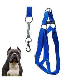 寵物項圈、牽繩和護胸套裝 - 藍色 - 查看 7