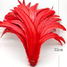 10入組/袋公雞尾羽毛自然原色12-14英寸30-35厘米,用於手工藝、婚禮、飛蝇掛飾、派對表演、diy裝飾 - 紅色 - 查看 2