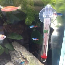 1pc Suction Cup Style Fish Tank Thermometer/Turtle Tank Thermometer/Little Fat Thermometer For Measuring Water Temperature - Clear - View 5