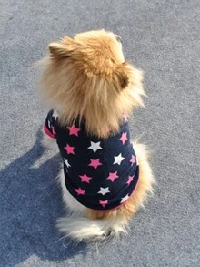 1 件中小號寵物秋冬保暖天鵝絨連帽衫,搭配微絨襯裡 - 黑色 - 查看 2