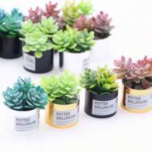 隨機發送微型植物模型,模擬小型多肉盆栽微景觀家居裝飾 - 彩色 - 查看 4
