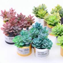 隨機發送微型植物模型,模擬小型多肉盆栽微景觀家居裝飾 - 彩色 - 查看 5
