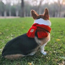 1條冬季寵物圍巾,紅色針織暖和頸巾適用於小型犬/貓,130cm/51.2in - 紅色 - 查看 3