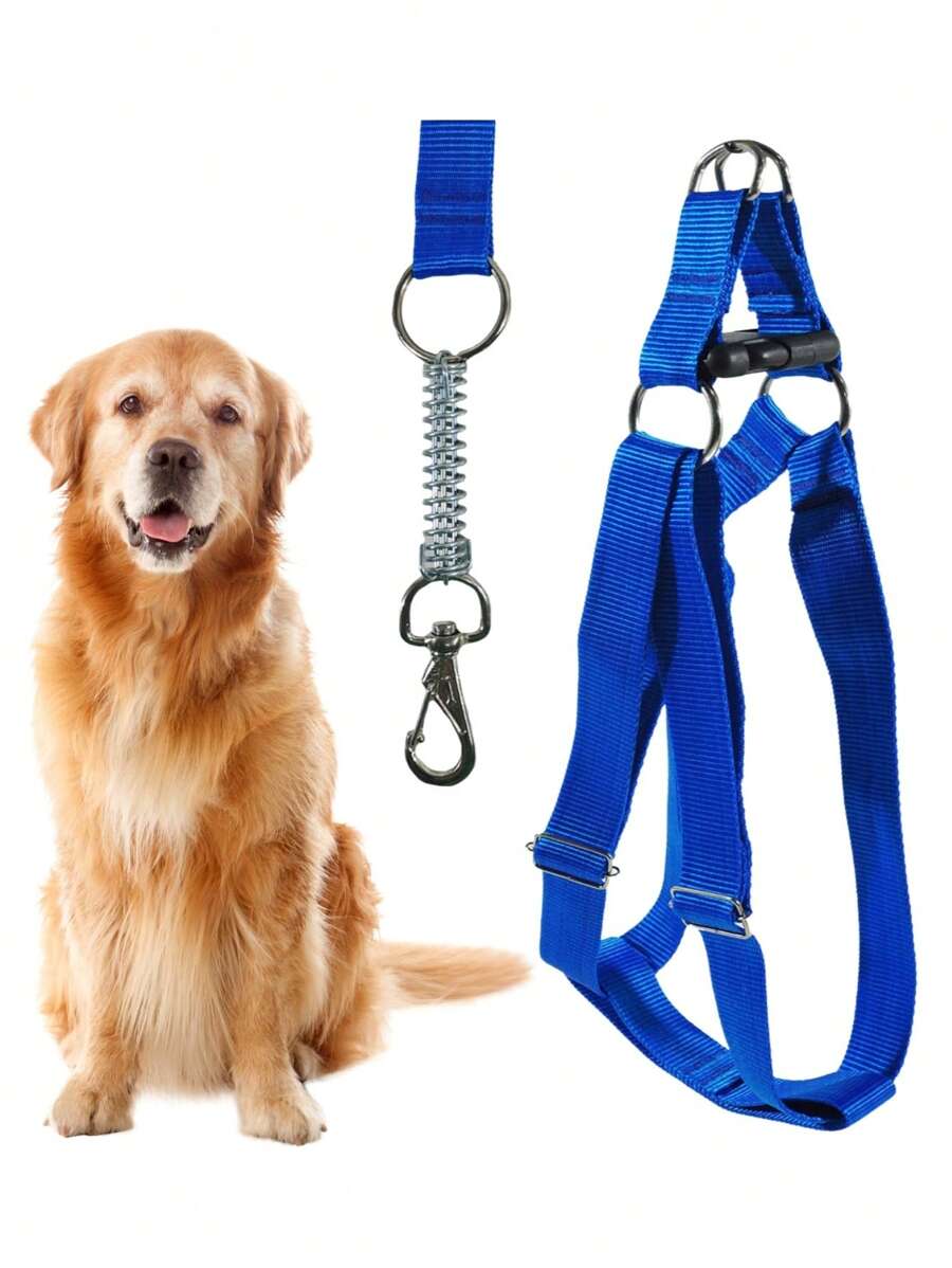 寵物項圈、牽繩和護胸套裝 - 藍色 - 查看 1
