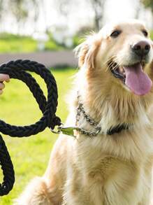 1set Heavy Duty Adjustable Nylon Leash + Collar For Small/medium Pet, Durable Traction Rope Set - Black - View 3