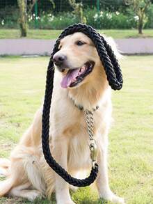 1set Heavy Duty Adjustable Nylon Leash + Collar For Small/medium Pet, Durable Traction Rope Set - Black - View 2