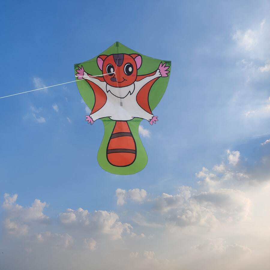 1個飛鼠風箏,尺寸為w84.5cm * H111.5cm,易於飛行,玩具風箏,適合戶外娛樂