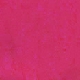 Rosa Roja