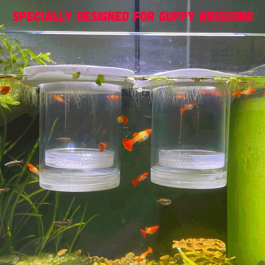 1件塑料魚卵孵化器,用於胎生魚和孔雀魚的繁殖。這種胎生魚隔離箱可用於孵化和保護魚缸中的小魚,對於孔雀魚的繁殖非常有助益。懸掛式設計易於使用,並具有水族網和母魚產房的功能。 - 白色 - 查看 1