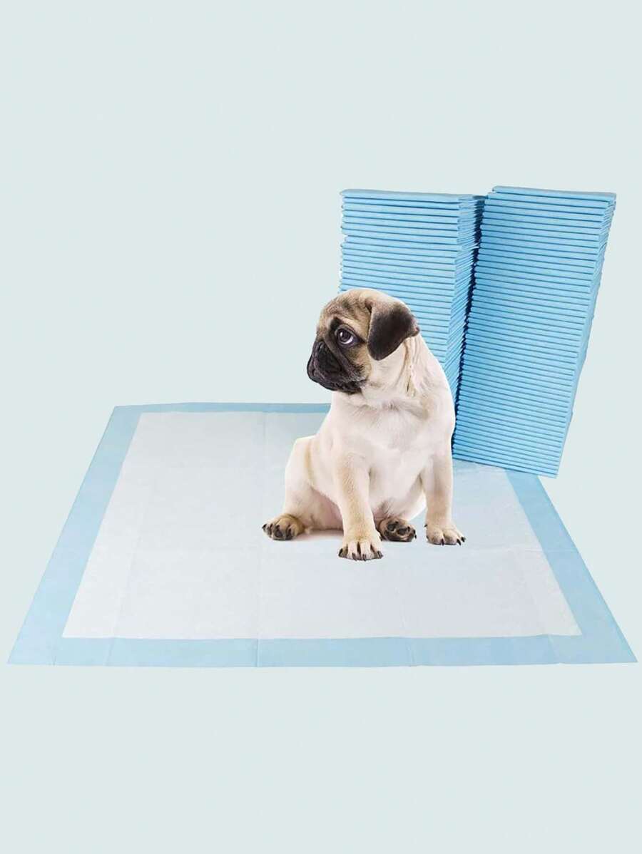 寵物尿布20片/包 - 藍色 - 查看 1