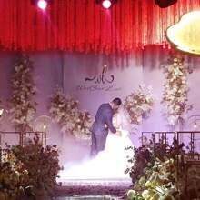 20入組人造藤懸掛花環,藤蔓懸掛花朵裝飾家居戶外婚禮拱形花園牆,適用於婚禮、派對、花園牆壁裝飾(紅色)