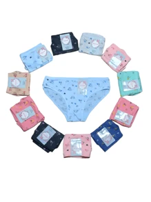 12 Piezas De Pantaleta De Algodon Para Dama, Se Envia En Tallas y Colores Varios ( Tallas L, XL, XXL ) - Multicolor - Ver 3