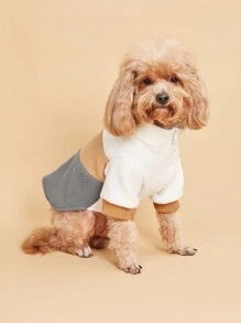 拼接抓毛立領外套 - 黃色 - 查看 3