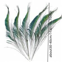 (10/30/50/100入組)天然孔雀羽毛/ Diy珠寶和家庭裝飾羽毛,30-40cm